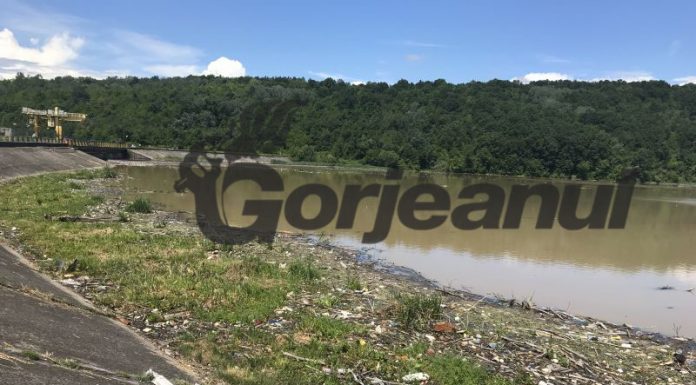 ,,Marfă” proaspătă pe Jiu! Poluare cu PET-uri din Valea Jiului!