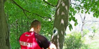 Noi marcaje, executate de Salvamont Gorj