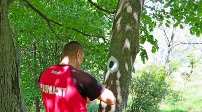 Noi marcaje, executate de Salvamont Gorj