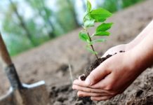 Prelungiri pentru depunerea cererilor de sprijin pe două măsuri, la APIA Gorj