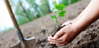 Prelungiri pentru depunerea cererilor de sprijin pe două măsuri, la APIA Gorj