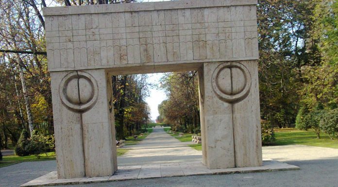 Educaţia…şi Lecţia de viaţă – Modalitatea specifică societăţii româneşti actuale, de manifestare a arieraţiei de tip emoţional