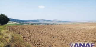 Terenuri la prețuri de nimic, scoase la licitație de Finanțele Gorj!