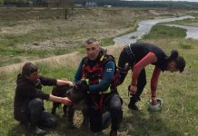 Salvat din râul Sohodol, de către salvamontiștii gorjeni