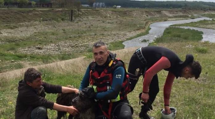 Salvat din râul Sohodol, de către salvamontiștii gorjeni