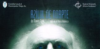 Cronica teatrală – Azilul de noapte – de Maxim Gorki în regia lui Andrei Mihalache