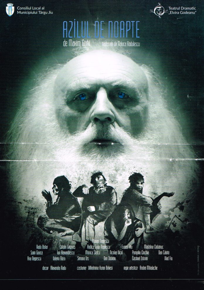 afis Azilul de noapte