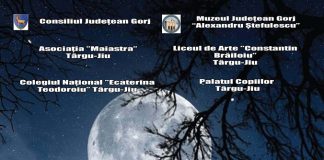 Pe 18 mai, gorjenii sunt așteptați la Noaptea Muzeelor