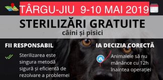 Două zile de sterilizări gratuite, la Târgu-Jiu