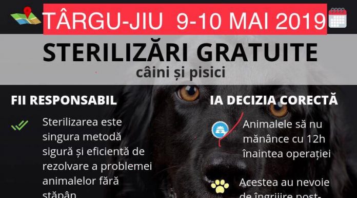 Două zile de sterilizări gratuite, la Târgu-Jiu