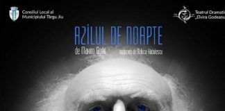 Spectacol caritabil pentru Maria Păunescu, la teatrul din Târgu-Jiu