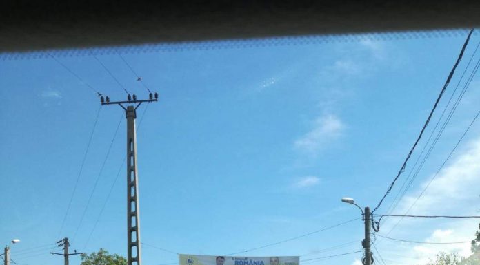 Primele sesizări la BEJ. Afișaj electoral ilegal