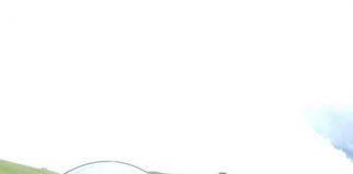 Agresorul de la pensiunea din Peștișani, cercetat penal! L-a lovit cu un par încins pe băiatul viceprimarului de Țicleni!