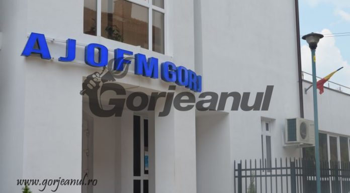Anunțul AJOFM Gorj pentru angajatorii gorjeni!