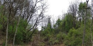 Alunecă terenul peste fântâna miraculoasă de la Hîrșcani! Autoritățile din Licurici, lipsite de măsuri