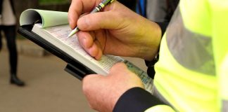 Nereguli la un depozit de lemne din Gorj