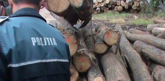 Firmă amendată cu 17.000 de lei, în urma unui control în trafic