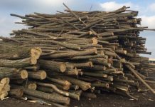 Bărbat din Padeș, cercetat pentru evaziune fiscală