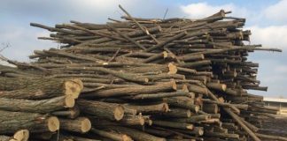 Bărbat din Padeș, cercetat pentru evaziune fiscală