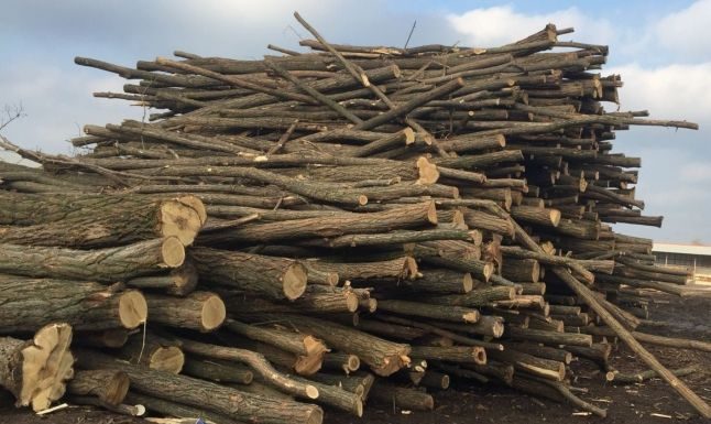 Bărbat din Padeș, cercetat pentru evaziune fiscală