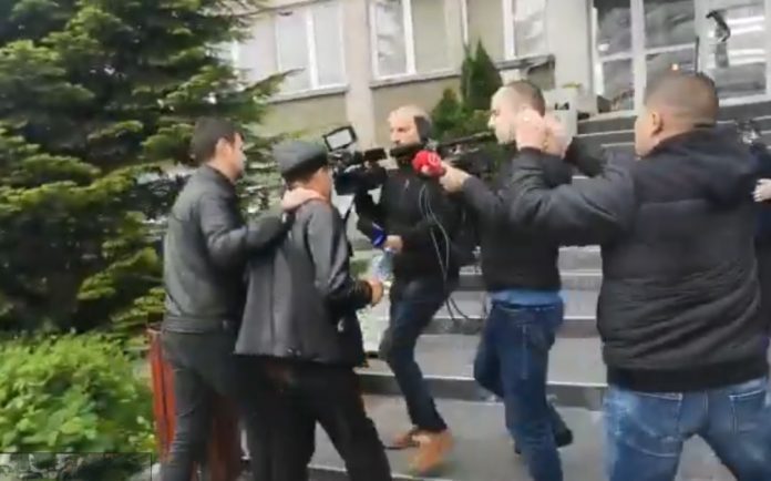 batran-viol-1-696x434