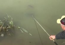 Braconier filmat pe malul Jiului