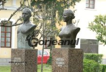 Au început audierile la IPJ Gorj în dosarul busturilor exilate la Vladimir!