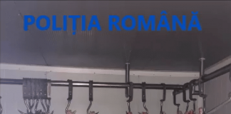Sumă uriașă confiscată după percheziții