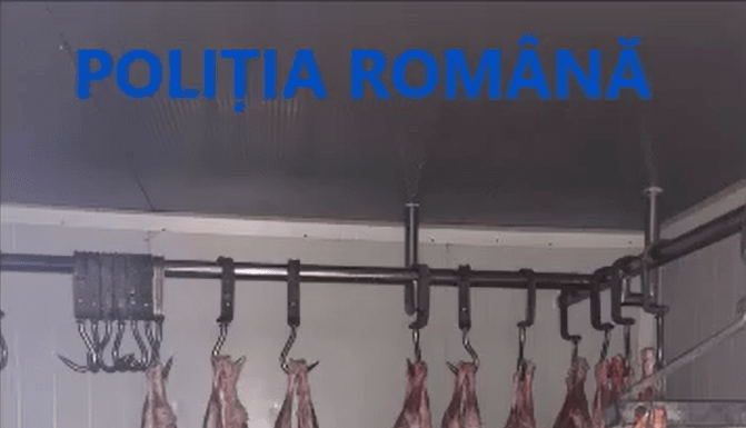 Sumă uriașă confiscată după percheziții