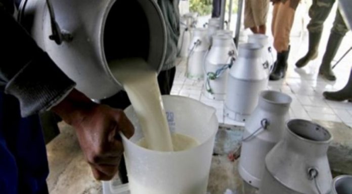 Centru de prelucrare a laptelui din Stănești, închis de inspectorii sanitar-veterinari