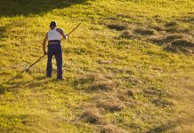 Agricultura pe înțelesul tuturor – Graficul lucrărilor agricole în luna iunie