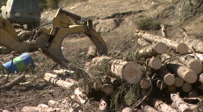 Încă o anchetă la Avocatul Poporului, după dezvăluirile din Gorjeanul