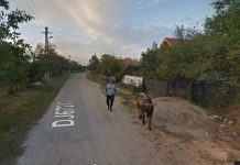 Un milion de euro pentru drumurile din Arcani