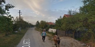 Un milion de euro pentru drumurile din Arcani