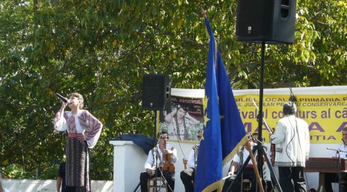 Pe 12 mai, cea de-a XI-a ediţie a Festivalului-concurs „Maria Apostol”