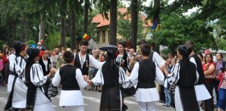 Dăncilă şi Daea urcă oile la Novaci