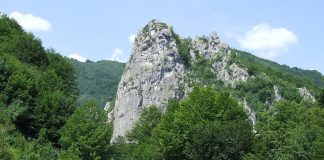 În lumea Godeanului la începutul verii