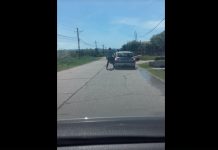 Nevasta unui consilier liberal, acuzată că transportă cu maşina cetăţeni la vot – VIDEO