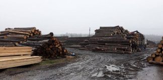 Controale la depozite de material lemnos din Peștișani