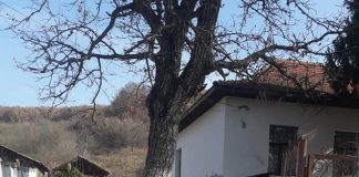 Peste un milion de lei pentru școala din Piscuri