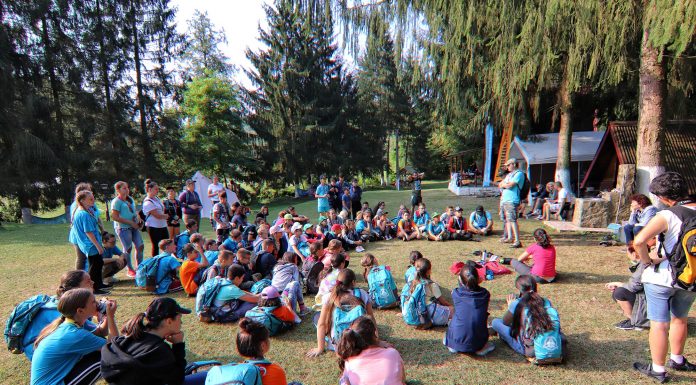 Școli din Gorj premiate la un concurs de educație ecologică