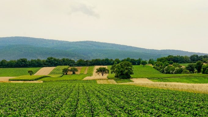 Agricultura pe înțelesul tuturor – Este imperativ să ne purtăm prietenos cu natura