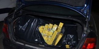 Tineri din Călăraşi, reținuți în Gorj, în urma unui control în trafic