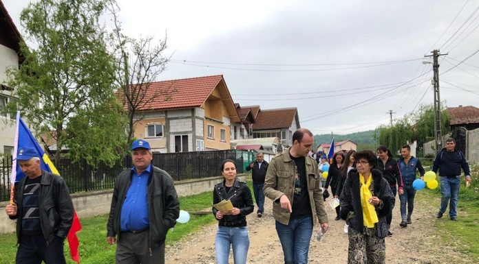 Vîlceanu are target impus pentru europarlamentare