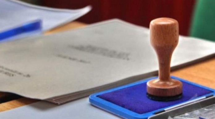 Simulare de vot pentru alegerile de duminică. Ce trebuie să știe alegătorii