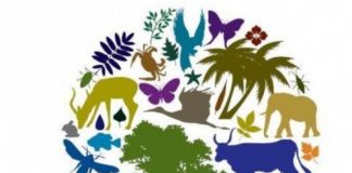 APM Gorj marchează Ziua Biodiversității