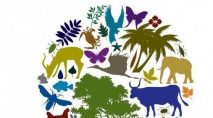 APM Gorj marchează Ziua Biodiversității