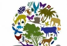 Eveniment mâine, la Cloșani, organizat de APM Gorj