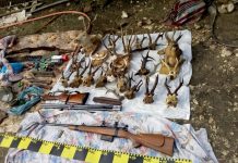 Tată și fiu, acuzați că au introdus ilegal în România arme din Franța, puși sub control judiciar