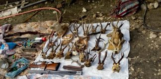 Tată și fiu, acuzați că au introdus ilegal în România arme din Franța, puși sub control judiciar